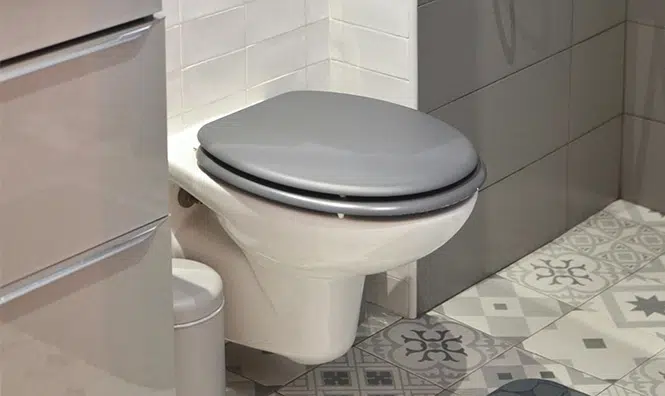 אנקופרזיס